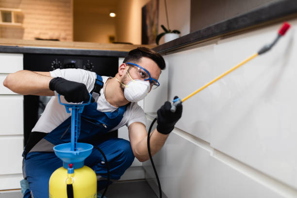 Best Emergency Pest Control  in , MA