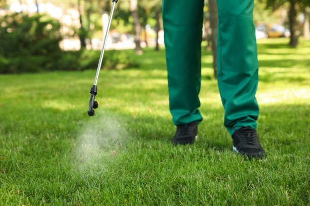 Best Affordable Pest Control Services  in , MA