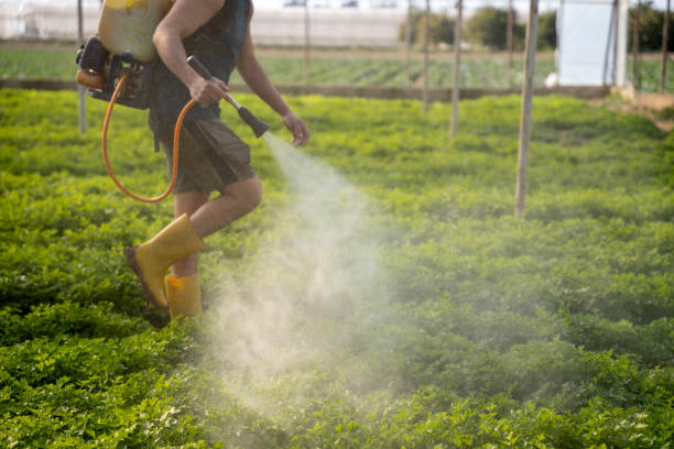 Best Commercial Pest Control Services  in , MA